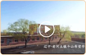 MK体育官方网址-MK世界杯（中